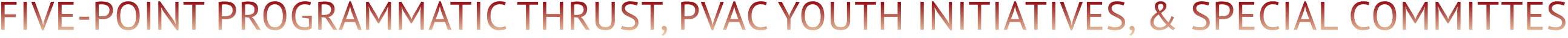 FIVE-POINT PROGRAMMATIC THRUST, PVAC YOUTH INITIATIVES, & SPECIAL COMMITTES FIVE-POINT PROGRAMMATIC THRUST, PVAC YOUTH INITIATIVES, & SPECIAL COMMITTES